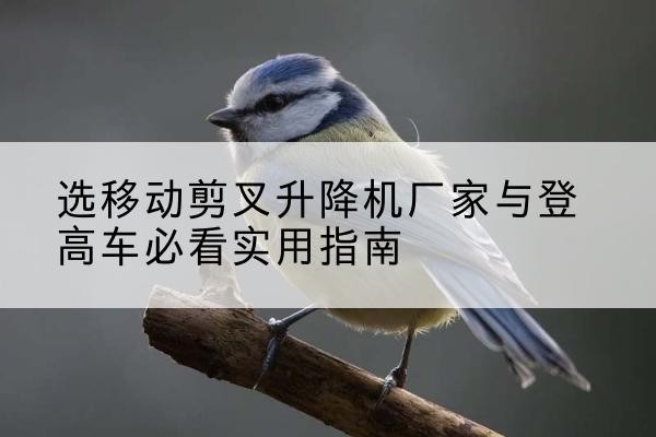 惠阳电动升降机厂家-选移动剪叉升降机厂家与登高车必看实用指南