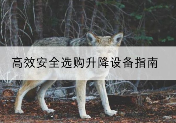 惠阳升降货梯厂家推荐-*安全选购升降设备指南