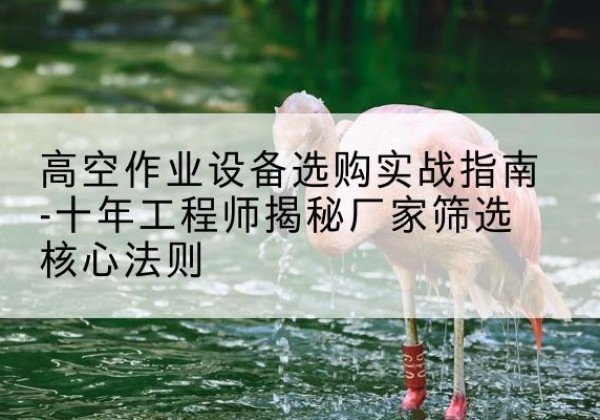 惠阳剪叉式升降机厂家-高空作业设备选购实战指南-十年工程师揭秘厂家筛选核心法则